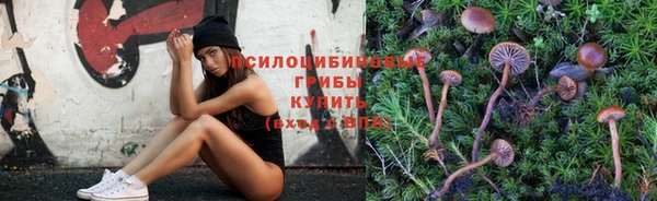 не бодяженный Абдулино