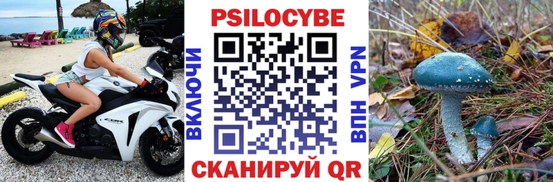 Псилоцибиновые грибы MAGIC MUSHROOMS  даркнет сайт  Абинск 
